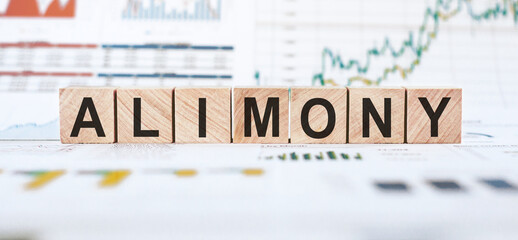 Wooden blocks spelling out alimony rest on a table with financial charts in the background.