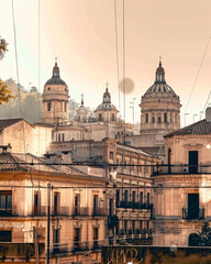 Obraz premium Alcorcon Skyline Double Exposure City Architecture Art - A group of buildings with towers and a tree