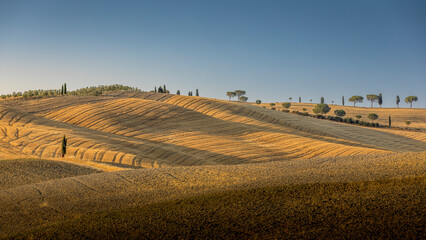 Fototapeta premium Asciano, Italy - July 25, 2023: Tuscan landscape. One of the most famous location in Tuscany, near Asciano (Siena). Italy