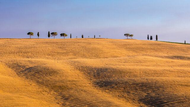 Asciano, Italy - July 25, 2023: Tuscan landscape. One of the most famous location  in Tuscany, near Asciano (Siena). Italy