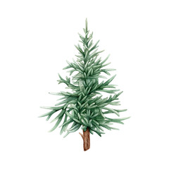 Watercolor vintage green classic Christmas tree isolated on white background. Hand drawn illustration sketch fir tree. Needles for New year design, print, background