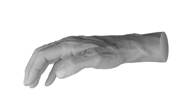 Grabbing, catching gesture, hand sign isolated on white background.