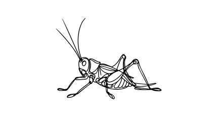Cricket single line drawing vector