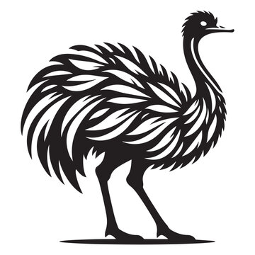recommend clip art: Ostrich silhouette vector illustration, Ostrich emu bird vector illustration on a white background