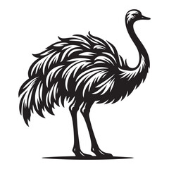 Ostrich silhouette vector illustration, Ostrich emu bird vector illustration on a white background