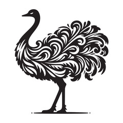 Ostrich silhouette vector illustration, Ostrich emu bird vector illustration on a white background