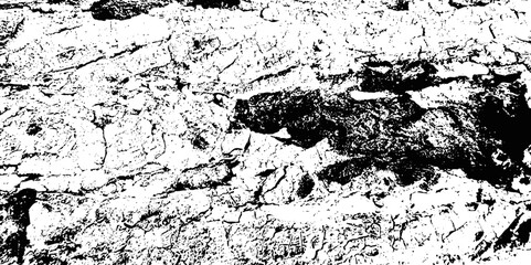 Grunge texture black and white background. Abstract monochrome pattern dust messy background. vintage dust grunge texture on isolated white background.