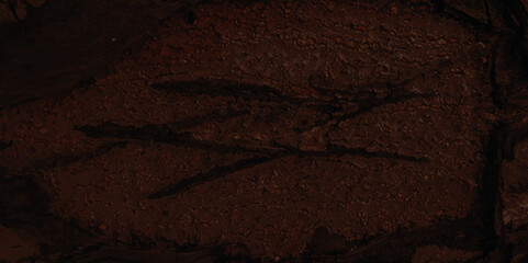 Dirty old wood texture. Grunge wood background close up.