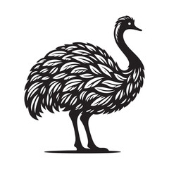 Ostrich silhouette vector illustration, Ostrich emu bird vector illustration on a white background