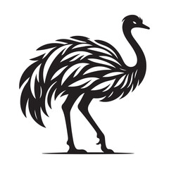 Ostrich silhouette vector illustration, Ostrich emu bird vector illustration on a white background
