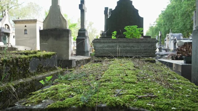 Ancient Parisian cemetery Montparnasse. Tombstones and crypts on graves. Old burial in the shade of trees. Memory of ancestors, peace of mind, France, Paris