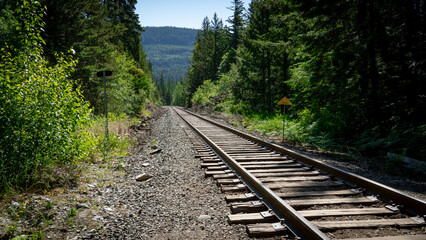 railway in the forest