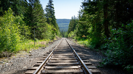 railway in the forest