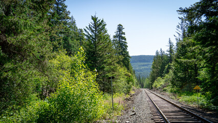 railway in the forest