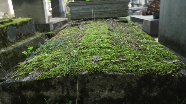Ancient Parisian cemetery Montparnasse. Tombstones and crypts on graves. Old burial in the shade of trees. Memory of ancestors, peace of mind, France, Paris