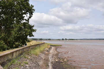 a walk along the exe estuary from the exeter ship canal