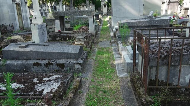 Ancient Parisian cemetery Montparnasse. Tombstones and crypts on graves. Old burial in the shade of trees. Memory of ancestors, peace of mind