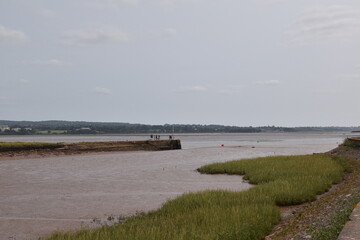 a walk along the exe estuary from the exeter ship canal
