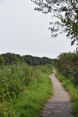 a walk along the exeter ship canal