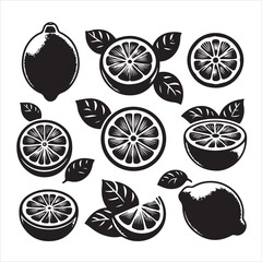 Excellent quality vector illustration of a lemon flat tem set
