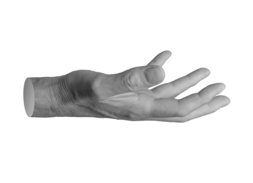 Hand gesture for holding or presenting an invisible object or product. outstretched, isolated on white background..