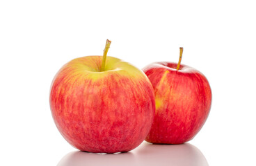 Two red apples, macro, isolated on white background.