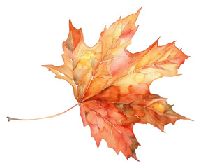 Fototapeta premium PNG Vibrant autumn maple leaf illustration