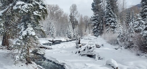 Winter wonderland in utah