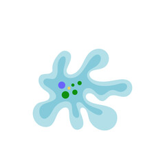 Binary fission in amoeba. Vector educational illustration. Reproduction