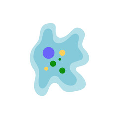 Binary fission in amoeba. Vector educational illustration. Reproduction