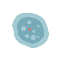 illustration of Healthcare and Medical education drawing chart of Amoeba for Science Biology study