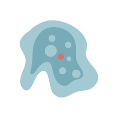 illustration of Healthcare and Medical education drawing chart of Amoeba for Science Biology study