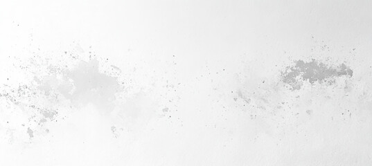 Minimalist White and Gray Design