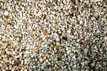 Close-Up of Gravel and Small Stones with a Single Green Leaf