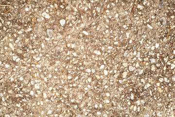Close-Up of Textured Gravel Path with Mixed Pebbles and Dirt, Outdoor Background