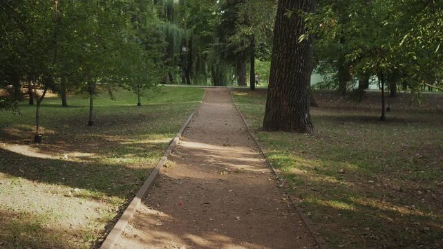 Summer background city park and footpath