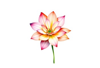 Fototapeta premium Colorful watercolor flowers isolated on white. flower bouquet collection with watercolor