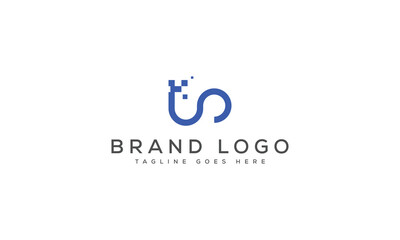 letter TS logo design vector template design for brand.