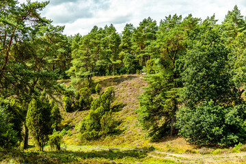 Ein herrliche Wanderung durch die einzigartige und farbenfrohe Landschaft der Borsteler Schweiz - Bispingen - Niedersachsen - Deutschland