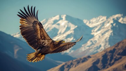 Fototapeta premium Majestic eagle soaring above a mountain range with wings fully extended, capturing the beauty and freedom of wildlife in its natural habitat.