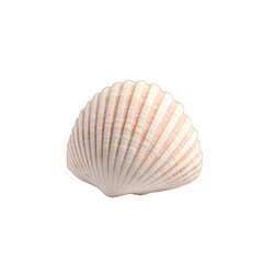Obraz premium Beautiful scallop shell with delicate ridges, perfect for coastal themes, marine decor, or nature-inspired designs. transparent background