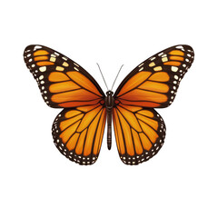 Fototapeta premium Beautiful monarch butterfly with vivid orange and black patterns, symbolizing transformation and nature's elegance. transparent background