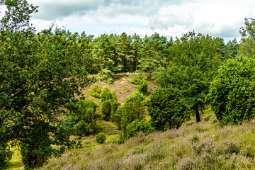 Ein herrliche Wanderung durch die einzigartige und farbenfrohe Landschaft der Borsteler Schweiz - Bispingen - Niedersachsen - Deutschland