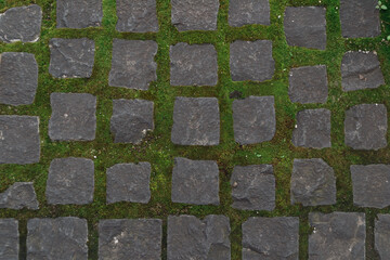 A black and white photo of a stone walkway with green moss growing on it. The photo has a moody and somber feel to it, as the moss and stones create a sense of decay and neglect