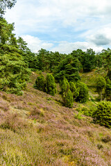 Ein herrliche Wanderung durch die einzigartige und farbenfrohe Landschaft der Borsteler Schweiz - Bispingen - Niedersachsen - Deutschland