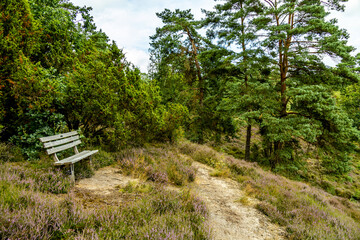 Ein herrliche Wanderung durch die einzigartige und farbenfrohe Landschaft der Borsteler Schweiz - Bispingen - Niedersachsen - Deutschland