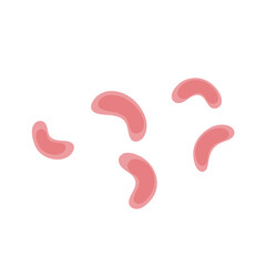 Viruses, germs and bacteria, microorganism types. Illness or disease microscopic cells and infection, microbes and antibodies.