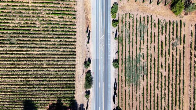 California, Wineries, Solar, Landscape, Scenic, Rancho California, Wine Country, Birds Eye View, Traffic, Road, Vineyards