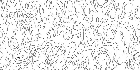 Vector topographic map background. Business concept. Abstract vector illustration.