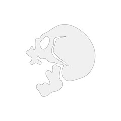 skull logo icon design vector illustration